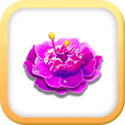 สัญลักษณ์ ดอกไม้สีชมพู